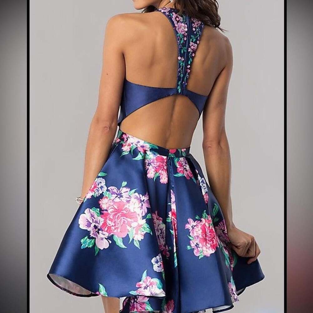 Women's Blue and Pink Dress